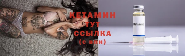 трава Наволоки