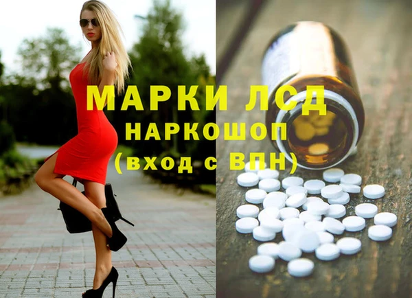 трава Наволоки